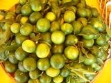 HAVRAN DA MANDALİNA HASADINA BAŞLANDI Türkiye’nin en önemli narenciye merkezi olan Havran ilçesinde, mandalina hasadına