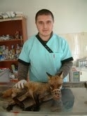 Balıkesir’in Burhaniye ilçesinde,  belediyeye ait köpek barınağı sorumlusu Hüseyin Sazak,