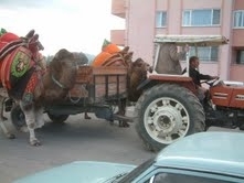 KAYMAKAMLIK ALDI, HIRSIZLAR ÇALDI KAYMAKAMLIK ALDI, HIRSIZLAR ÇALDIBİLGİSAYARLARIN ÇALINMASI İLE YEŞİL KART İŞLEMLERİ DURDU Balıkesir