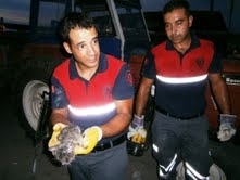SIKIŞAN KEDİYİ İTFAİYE EKİPLERİ KURTARDI Balıkesir’in Ayvalık ilçesinde itfaiye ekipleri, yaklaşık 7 saat süren bir