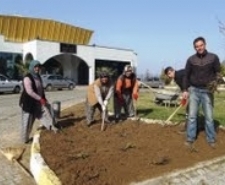 Balıkesir’in Ayvalık ilçesinde, Ayvalık Belediyesi Park Bahçeler Müdürlüğü ekipleri tarafından
