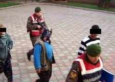 Jandarma zeytin hırsızlarını tarlada zeytin toplarken yakaladı.