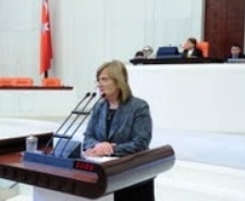 Balıkesir Milletvekili Ayşe Nedret Akova, zeytincilik sektörüne verilmesi gereken devlet