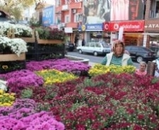HER MEVSİM YEŞİL EDREMİT Edremit Belediyesi tarafından ilçenin daha yeşil ve güzel bir hale