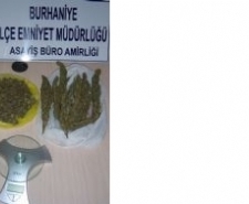 Balıkesir’in Burhaniye ilçesinde evinde uyuşturucu bulundurup satan bir kişi sevk