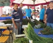 Balıkesir’in Burhaniye ilçesinde Deniz Börülcesi, Zeki Çekiç ve Bayram Çekiç’e
