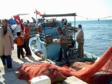 Balıkesir’in Gömeç ilçesinde DLH tarafından inşa edilen balıkçı barınağı, düzenlenen