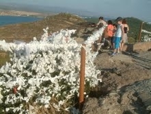ŞEYTAN SOFRASINDA DİLEK AĞAÇLARI Balıkesir’in Turistik Ayvalık ilçesindeki Şeytan Sofrası yöresine gelen vatandaşlardan dilek