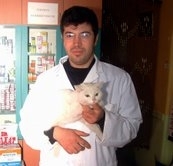 HASTA KEDİ POLİKLİNİĞİN KONUĞU OLDU Balıkesir’in Burhaniye ilçesinde, hastalanan Feliks adlı kedi veteriner polikliniğinin konuğu