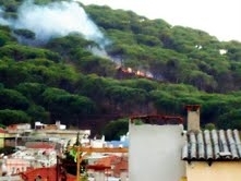 Balıkesir’in Ayvalık ilçesinde, önceki gün akşam saatlerinde ormanlık alanda çıkan