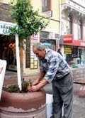 Balıkesir’in Ayvalık ilçesinde 72 yaşındaki Yılmaz Kidir adlı bir vatandaşın,