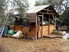 Balıkesir’in Edremit ilçesine bağlı Bostancı köyünde çalınan 27 koyun, jandarma
