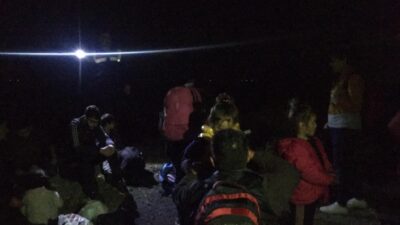  İzmir’in Dikili, Foça Ve Aliağa İlçelerinde Düzenlenen Operasyonda, Yasa