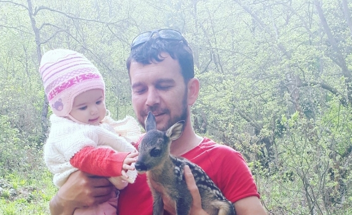 Çanakkale’nin Çan ilçesindeki bir köyün ormanlık alanında gezen bir kişi,