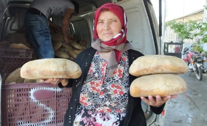  Nursel Şahin