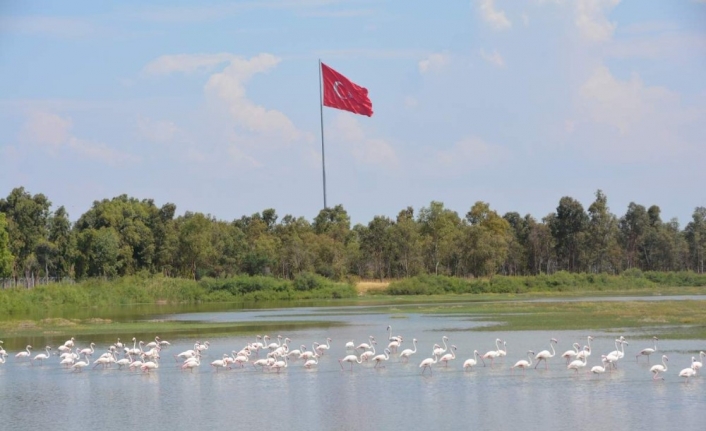  İzmir’in Aliağa İlçesi Plajlar Mevkiinde Bulunan Ve Türkiye’deki 425
