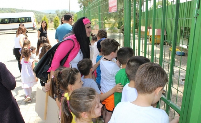 Burhaniye ilçesinde, Avni Özpolat Anaokulu Civcivler Sınıfı öğrencileri, sokak hayvanları