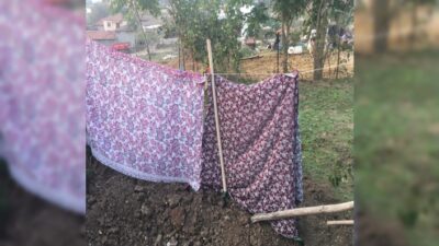  Çanakkale’nin Biga İlçesinde Annelerine Ait Bahçede Define Arayan İki