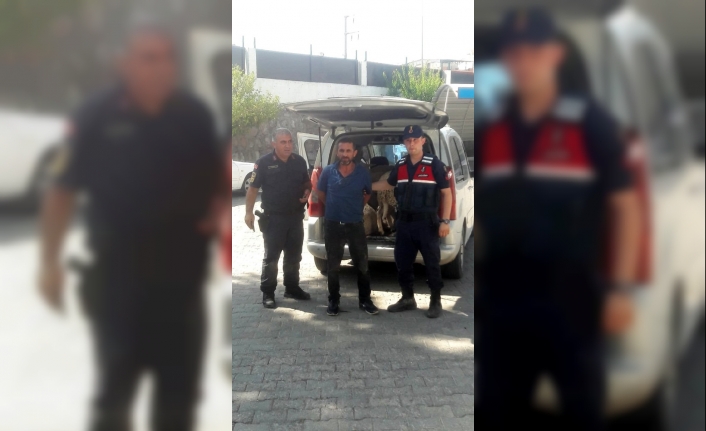 İzmir'in Menemen İlçesinde, Küçükbaş Hayvancılık Yapan H.k.’nin Koyunlarını Çalan 2