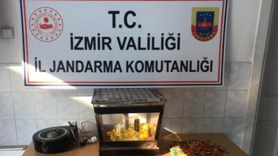İzmir’de, Jandarma Ekipleri Yaptıkları Uygulamada 14 Şüpheliyi Yakalarken, Kumar Oynamaya