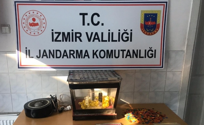 İzmir’de, Jandarma Ekipleri Yaptıkları Uygulamada 14 Şüpheliyi Yakalarken, Kumar Oynamaya