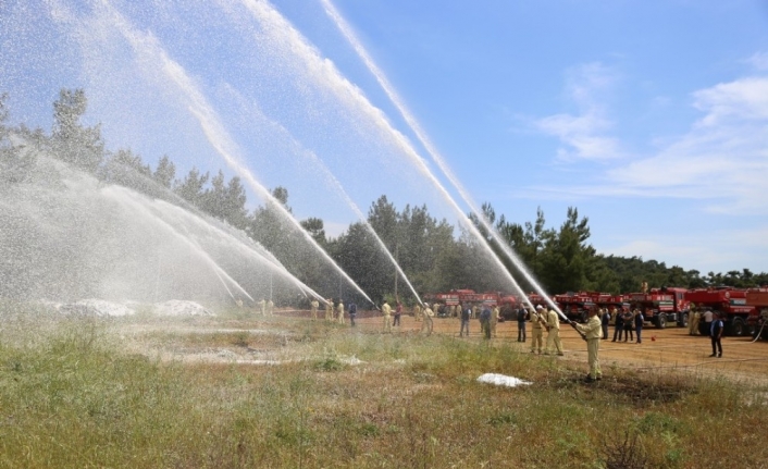 Yaklaşan yaz ayları mevsimi öncesi İzmir Orman Bölge Müdürlüğü, ormanların