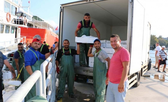 Erdek İlçesinde 1 Eylül’de Av Yasağının Kalkmasıyla Birlikte “vira Bismillah”