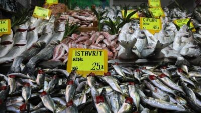 Çanakkale’de 15 Nisan tarihi itibariyle trol ve gırgır ağları ile