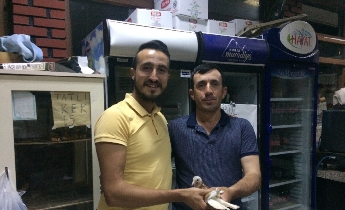 Pekgümrah, Kuşunu Teslim Aldı.
