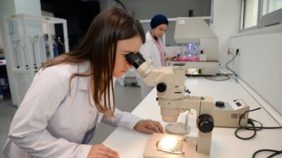  Tübitak Tarafından Uygulamaya Konulan 2244 Sanayi Doktora Programı Kapsamında