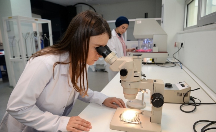 Tübitak Tarafından Uygulamaya Konulan 2244 Sanayi Doktora Programı Kapsamında