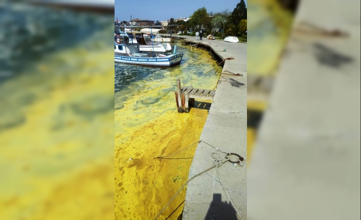 Balıkesir’in Ayvalık ilçesinin en kalabalık mahallelerinden biri olan Aliçetinkaya’daki Yunus
