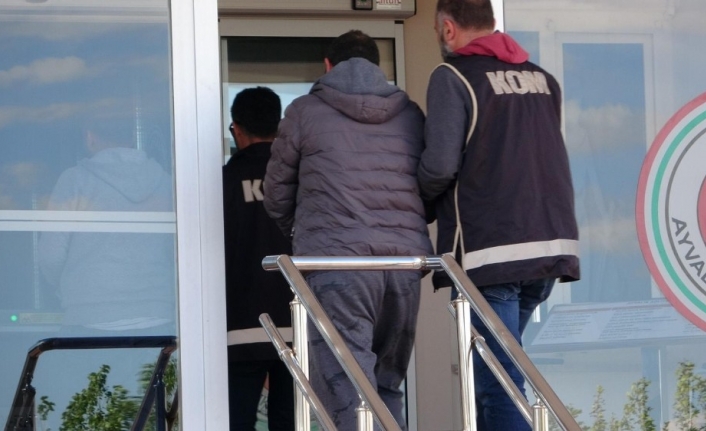 Balıkesir’in Ayvalık ilçesinde, aralarında 15 günlük bir bebek, çocuk ve