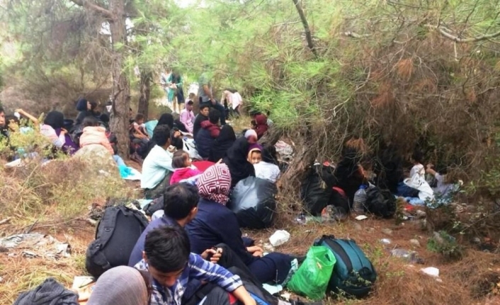  Balıkesir’in Ayvalık İlçesinden Yasa Dışı Yollarla Yunanistan’ın Midilli Adası’na