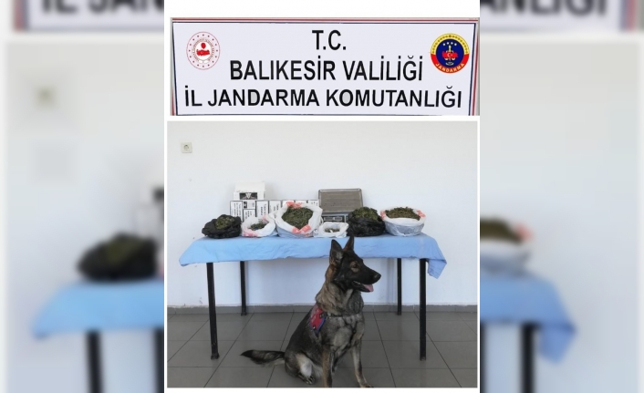  Uyuşturucu