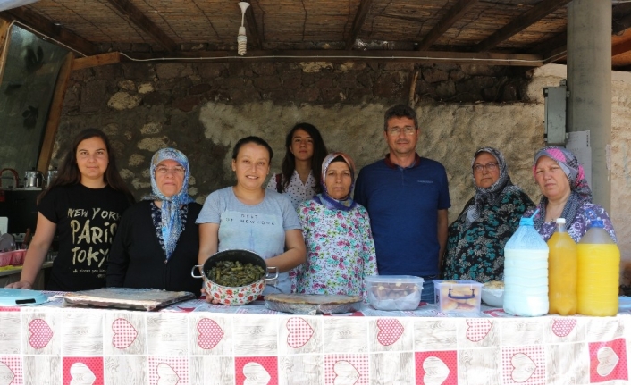  Çanakkale’nin Ayvacık İlçesine Bağlı Babakale Köyünde, 35 Ev Hanımı