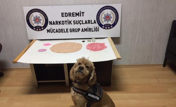  Balıkesir Polisi 10 Gün İçinde Narkotik Dedektör Köpekleri Baht,