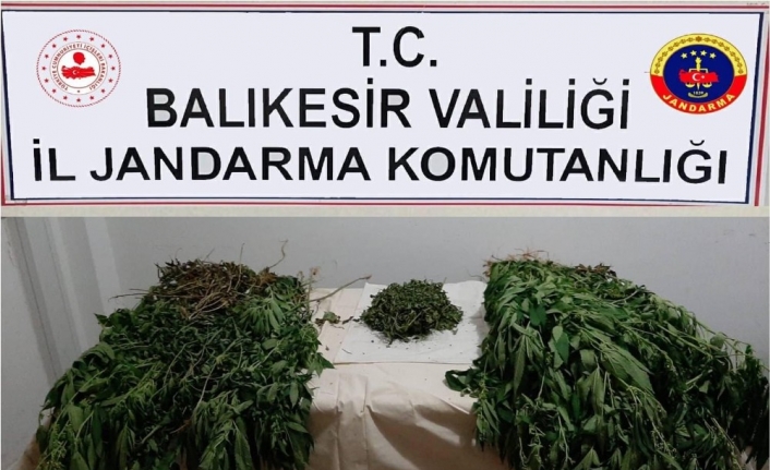  Balıkesir'de Jandarmadan Uyuşturucu Operasyonu