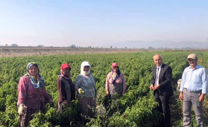  Bursa Yenişehir Belediye Başkanı Davut Aydın, Dünya Kadın Çiftçiler