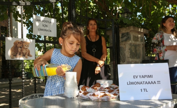  Evde Yaptığı Limonataları Satarak Kazandığı Parayı Can Dostlar İçin