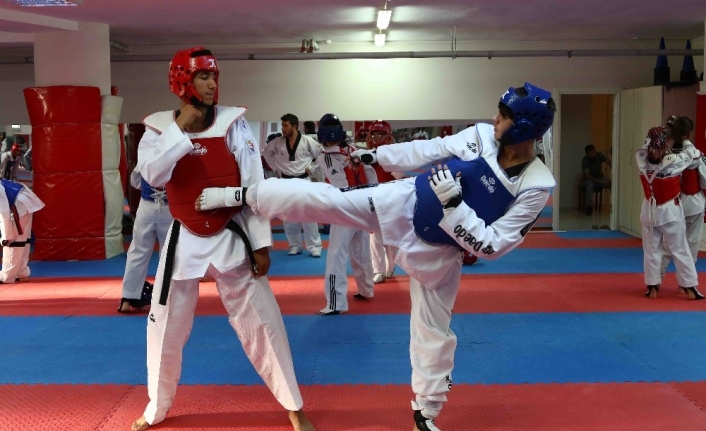  Dünya Taekwondo Federasyonu Başkanlık Kupası Avrupa Ayağında 3'üncü Olarak