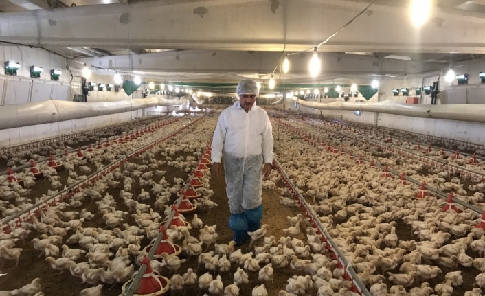 Hastavuk Genel Müdürü Şahin Aydemir, “hayvansal Protein İhtiyacini Şuanda