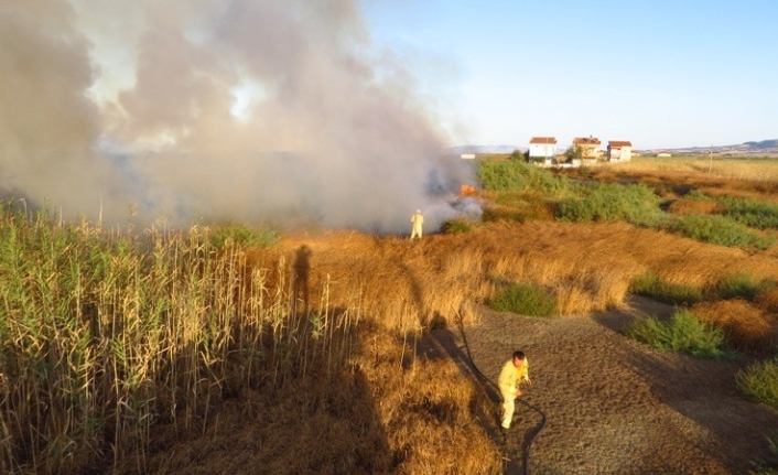  Çanakkale'nin Biga İlçesinde Sazlıkta Çikan Yangında 1 Hektar Alan