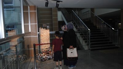  Bursa İnegöl Devlet Hastanesi Öncülüğünde, Kaymakamlığın Ve İlçe Milli