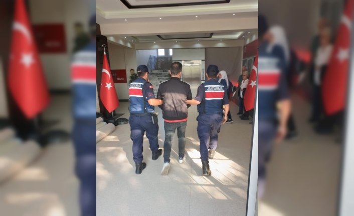  İzmir İl Jandarma Komutanlığı Ekipleri, 5 İlçede Toplamda 299