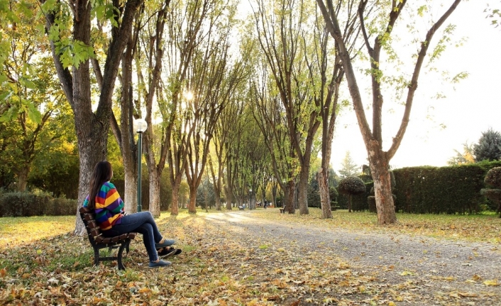  Bursa'nın Osmangazi İlçesinde Bulunan Soğanlı Botanik Parkı Sonbaharın Gelmesiyle