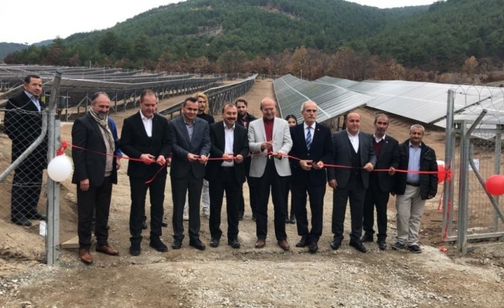  Bursa’nın Büyükorhan İlçesinde, 1 Milyon Dolara Mal Edilen Güneş