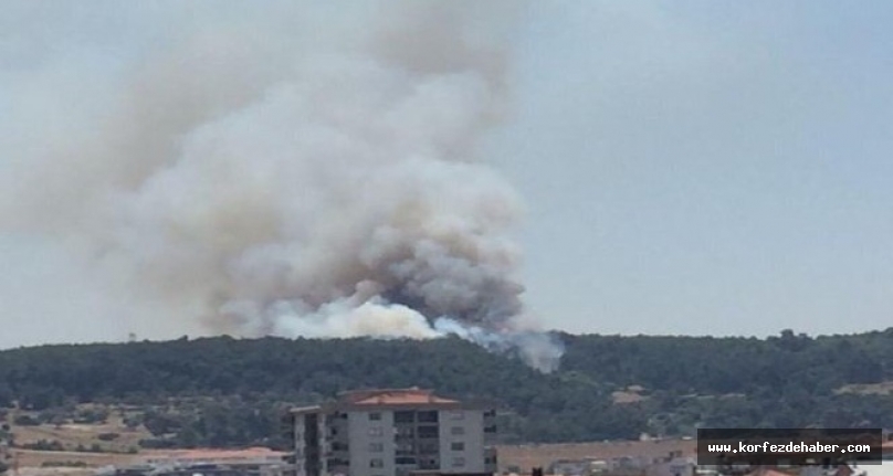 Buca’da orman yangını İzmir’in Buca ilçesinde orman yangını başladı. Rüzgarında etkisiyle büyüyen yangına