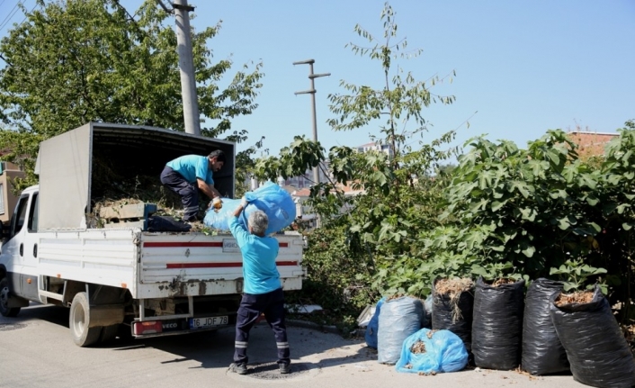  Budama Sezonunun Başlamasıyla Birlikte Nilüfer Belediyesi Park Ve Bahçeler