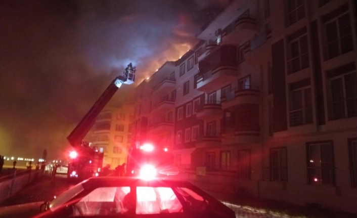 Balıkesir’in Burhaniye ilçesinde bir apartmanda çıkan yangın çatıyı küle çevirirken,